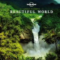 Beautiful World -  small edition