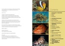 Duikgids Underwater Guide to Seychelles - Seychellen | John Beaufoy