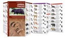 Natuurgids Animal Tracks North America  | Waterford Press